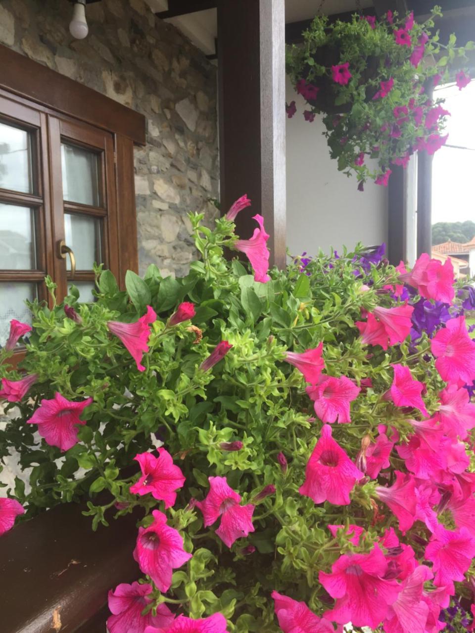 Affittacamere La Casona De Benito Cudillero Esterno foto
